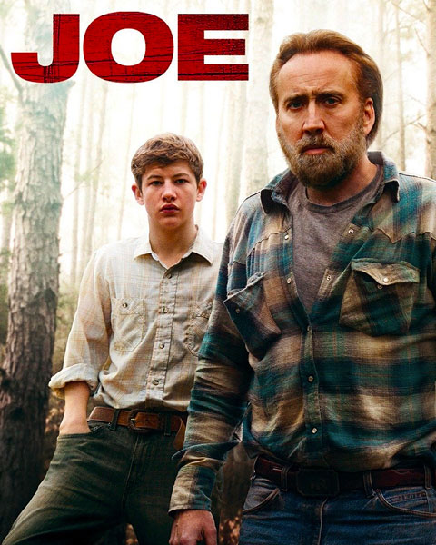 Joe (SD) Vudu/Fandango Redeem