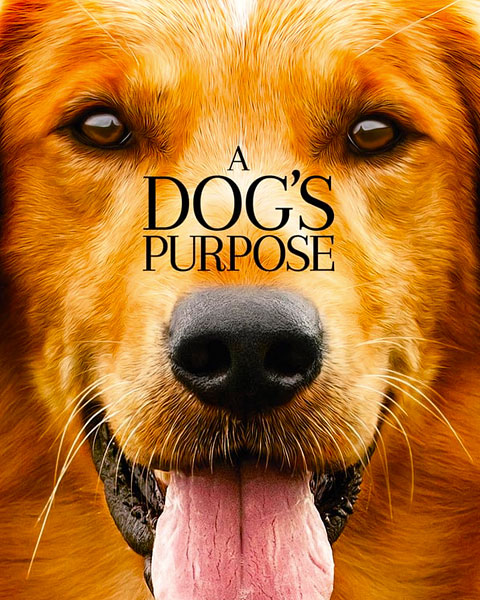 A Dog’s Purpose (HD) ITunes Redeem (Ports To MA)