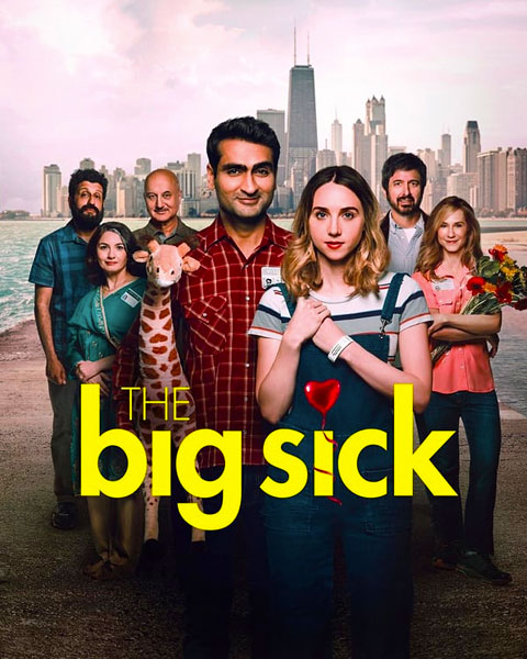 The Big Sick (HD) Vudu/Fandango Redeem