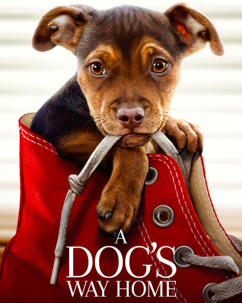 A Dog’s Way Home (HD) Vudu/Fandango OR Movies Anywhere Redeem