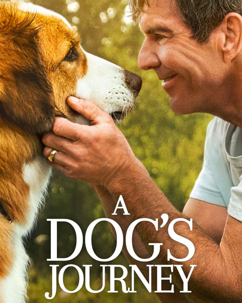 A Dog’s Journey (HD) Vudu / Movies Anywhere Redeem