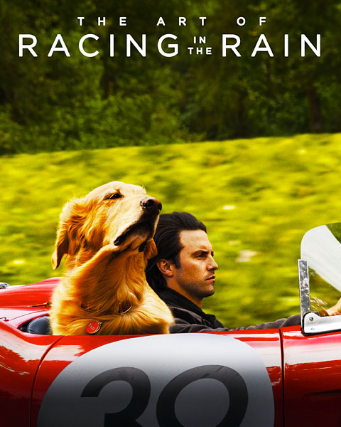 The Art Of Racing In The Rain (HD) Vudu / Movies Anywhere Redeem