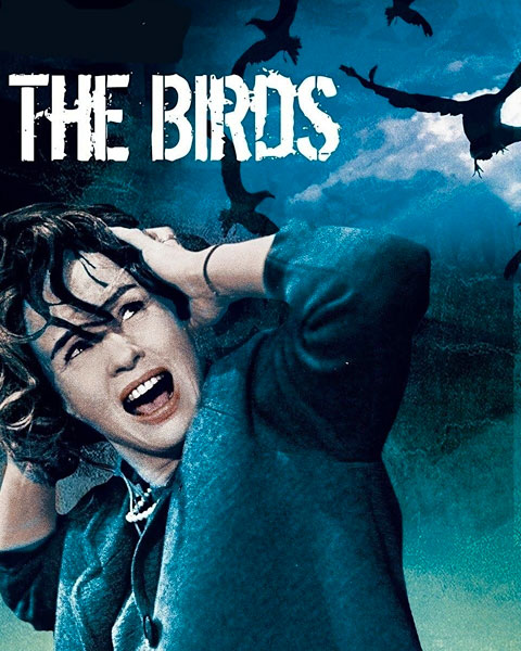 The Birds (4K) Vudu / Movies Anywhere Redeem