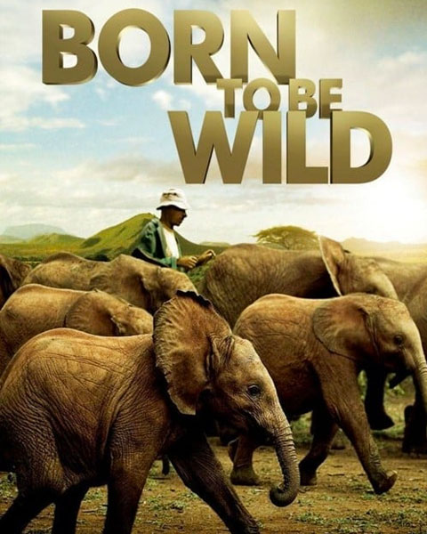Born To Be Wild (HD) Movies Anywhere Redeem